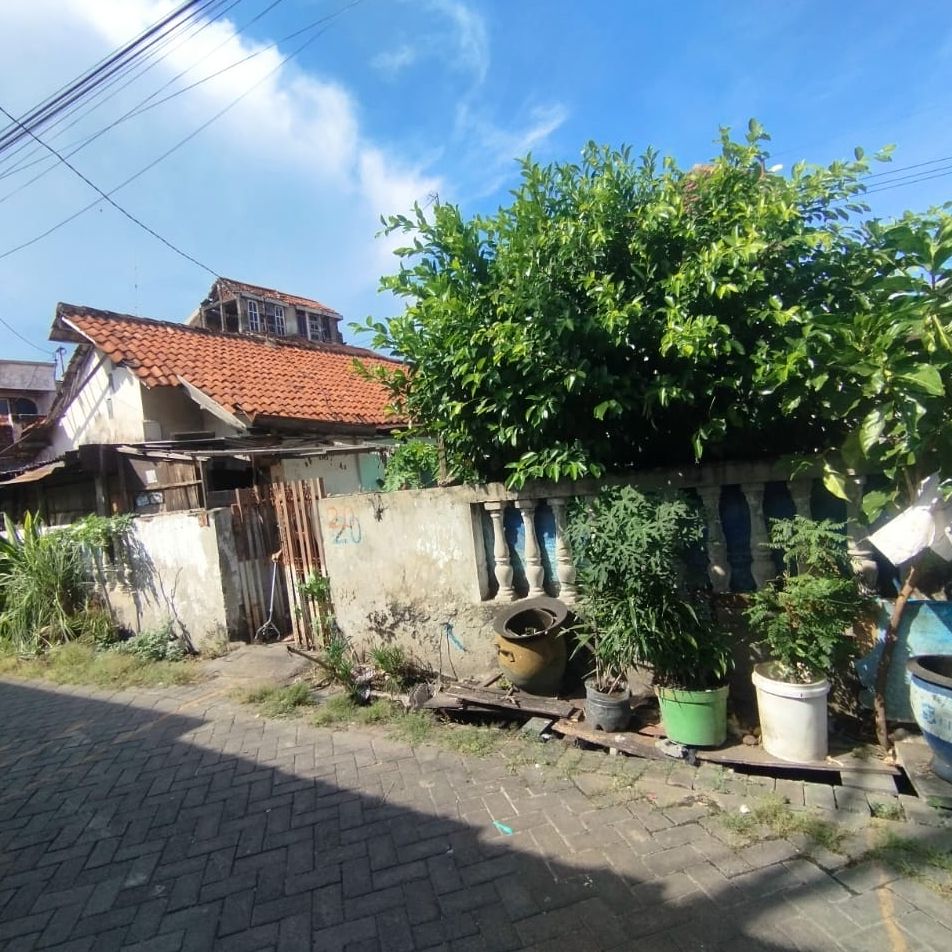 home-1